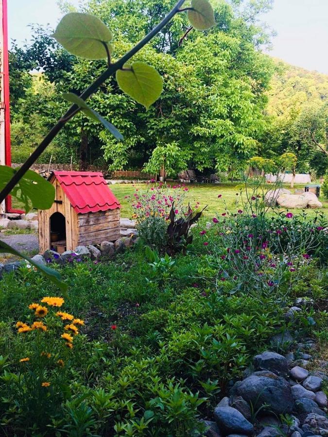 Dreamland Lagodekhi & Wine Cellar Εξωτερικό φωτογραφία