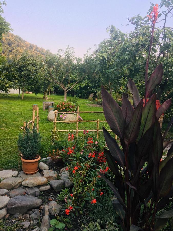 Dreamland Lagodekhi & Wine Cellar Εξωτερικό φωτογραφία