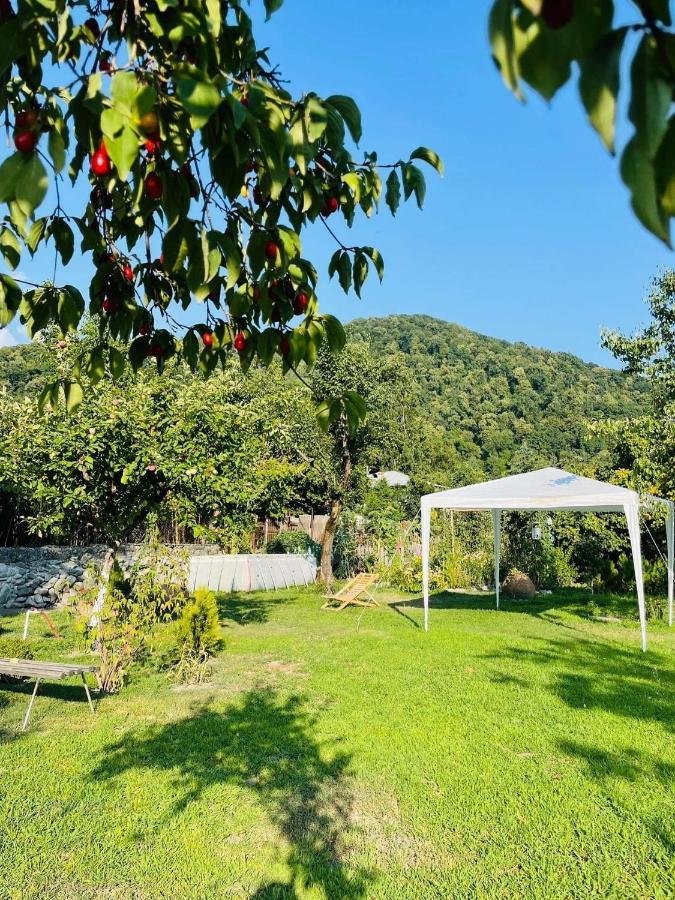 Dreamland Lagodekhi & Wine Cellar Εξωτερικό φωτογραφία