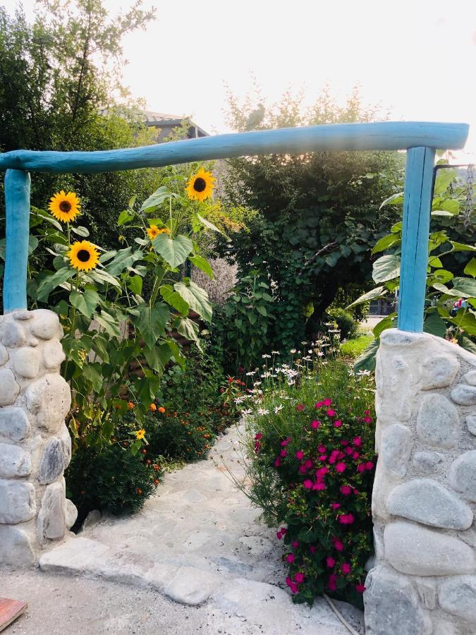 Dreamland Lagodekhi & Wine Cellar Εξωτερικό φωτογραφία