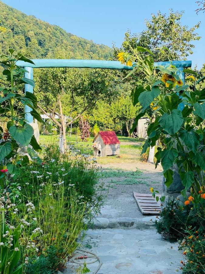 Dreamland Lagodekhi & Wine Cellar Εξωτερικό φωτογραφία