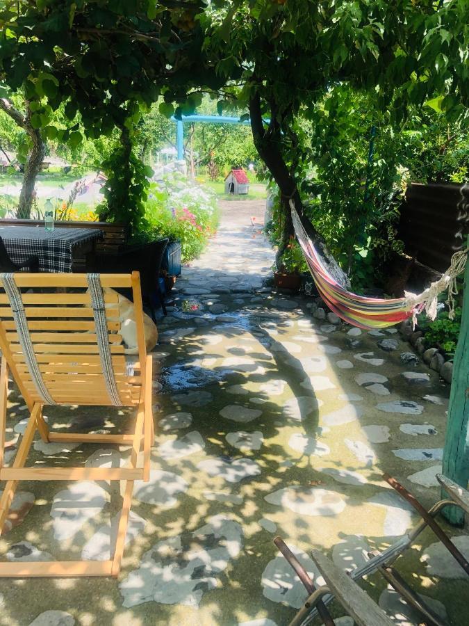Dreamland Lagodekhi & Wine Cellar Εξωτερικό φωτογραφία