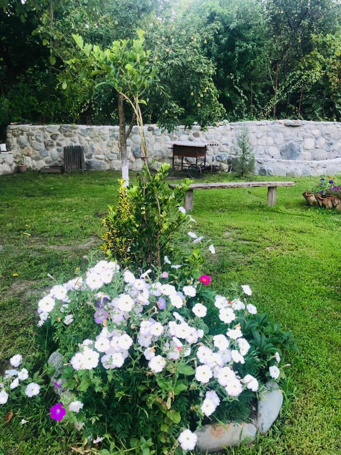 Dreamland Lagodekhi & Wine Cellar Εξωτερικό φωτογραφία