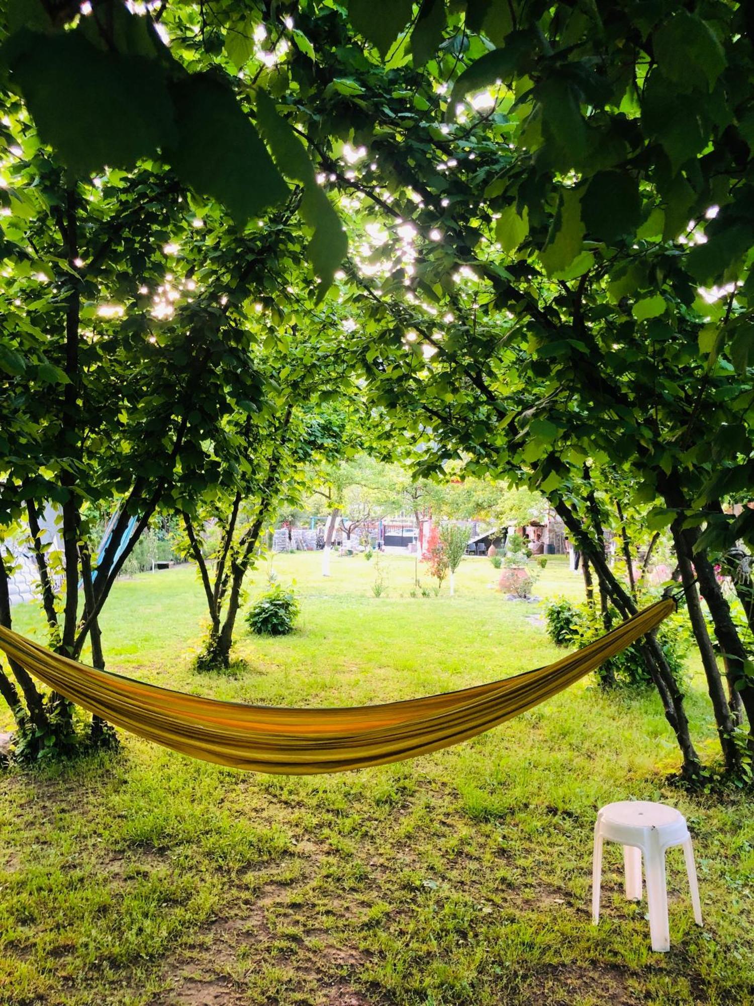 Dreamland Lagodekhi & Wine Cellar Ξενοδοχείο Εξωτερικό φωτογραφία