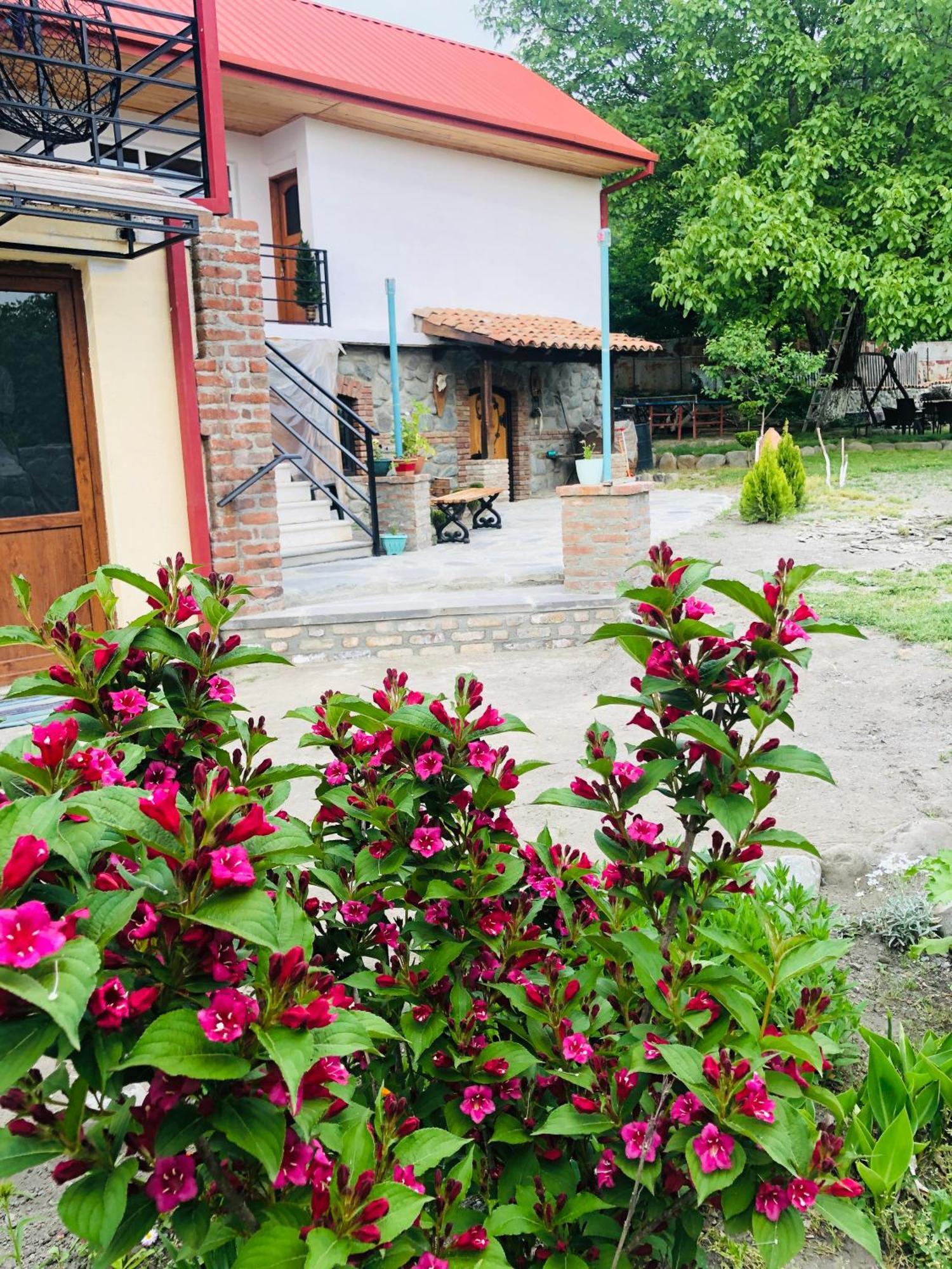 Dreamland Lagodekhi & Wine Cellar Εξωτερικό φωτογραφία