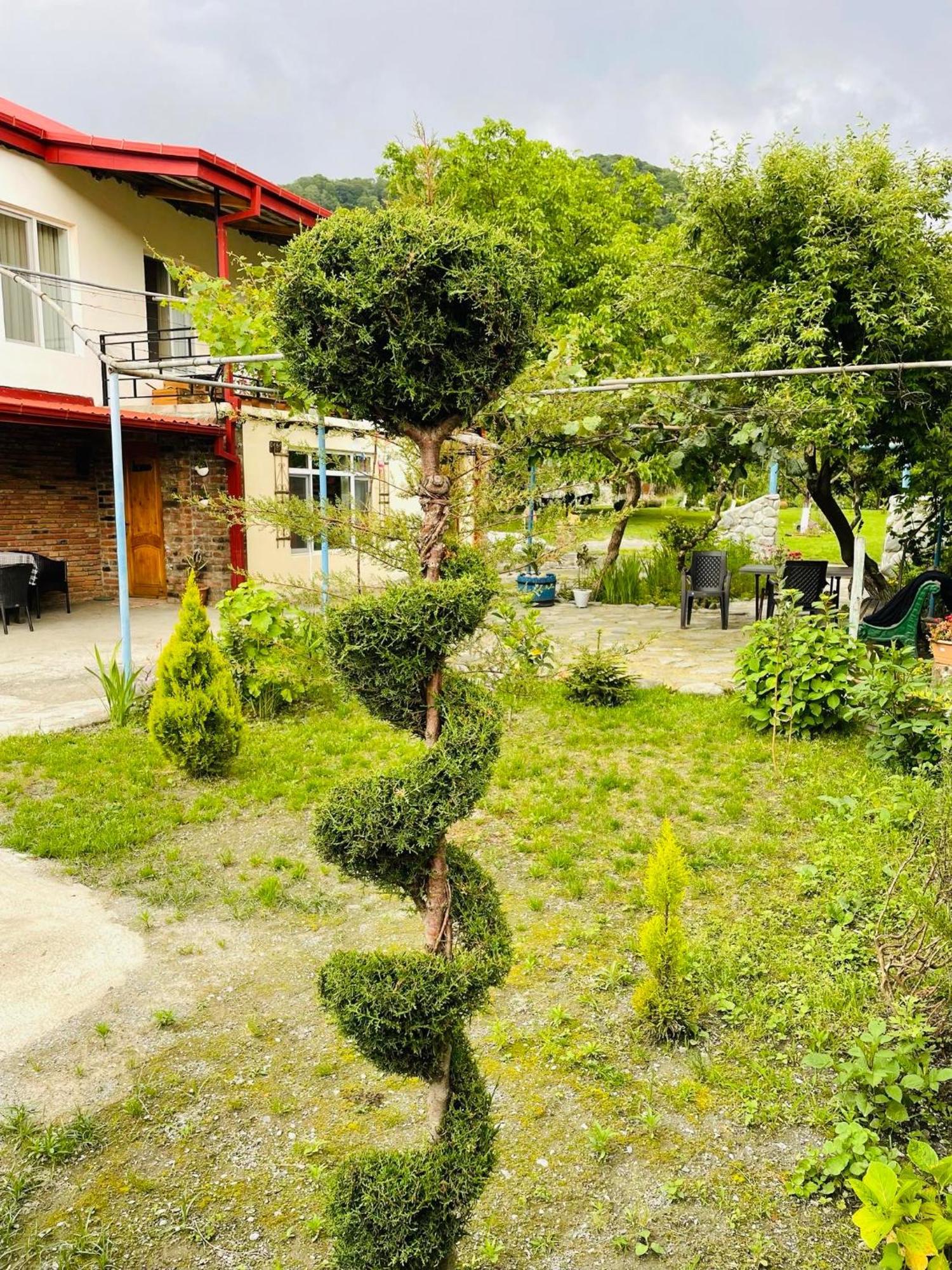 Dreamland Lagodekhi & Wine Cellar Εξωτερικό φωτογραφία