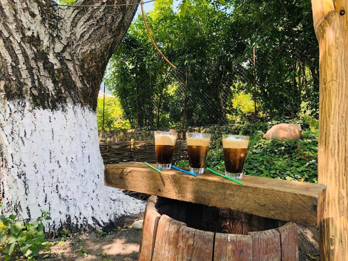 Dreamland Lagodekhi & Wine Cellar Εξωτερικό φωτογραφία